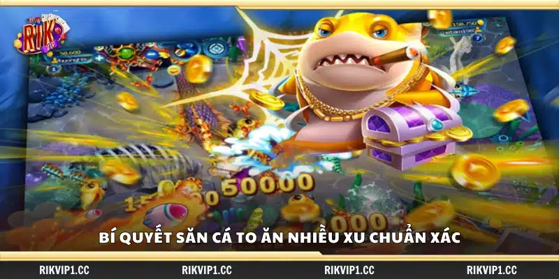 Bí quyết săn cá to ăn nhiều xu hiệu quả