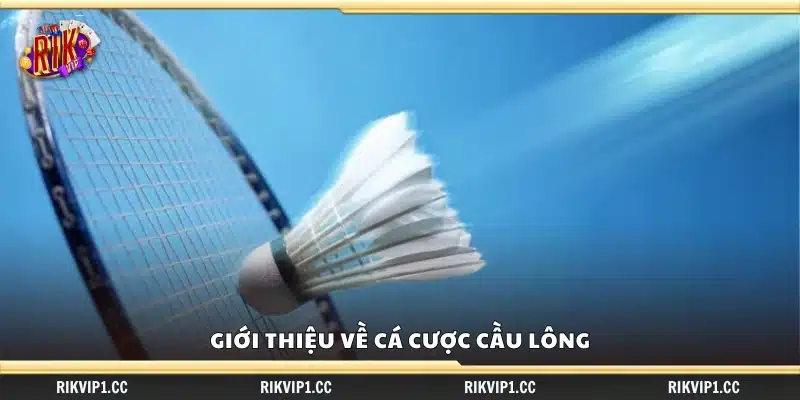 Tổng quan về hình thức cá cược môn cầu lông